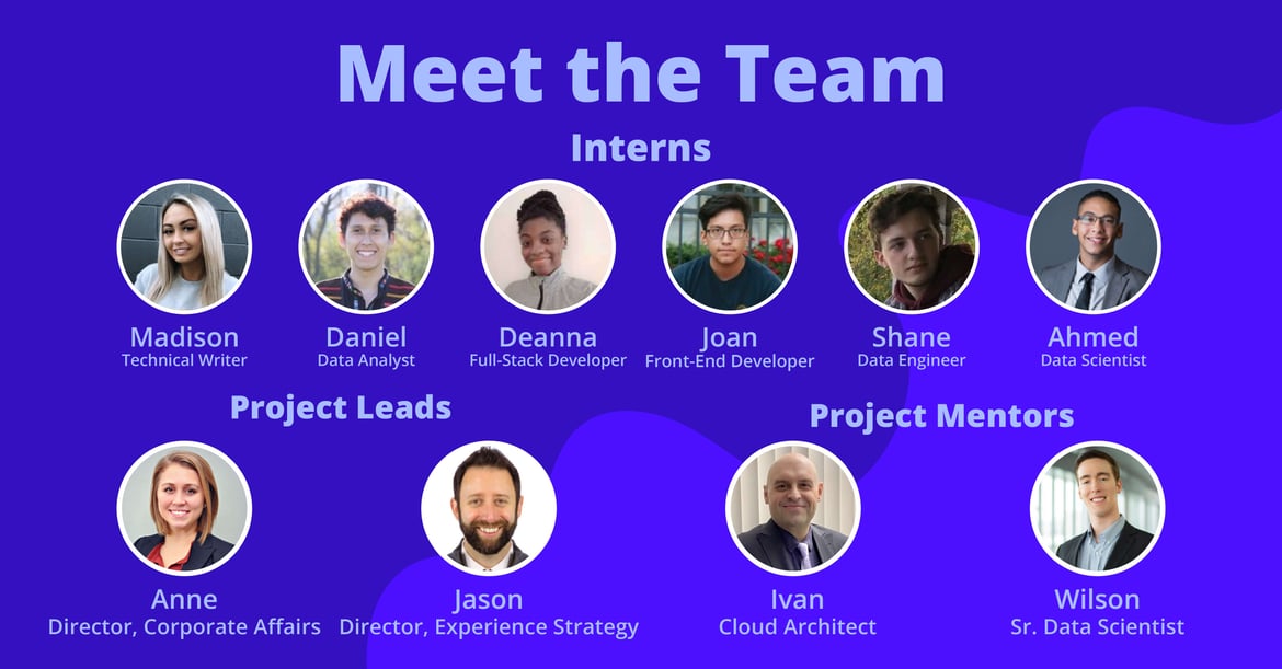 Headshots of the MetroStar internship class and mentors