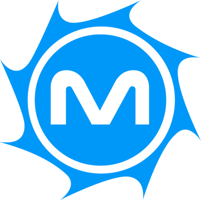 MetroStar Systems Logo