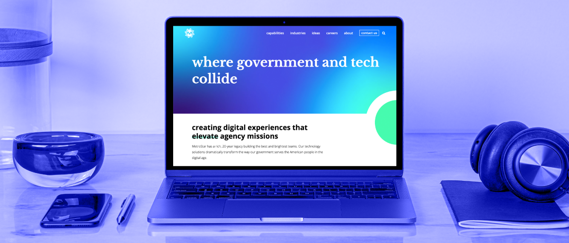 government website design 